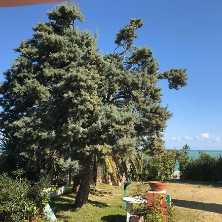 Stella Marina * Бруколи